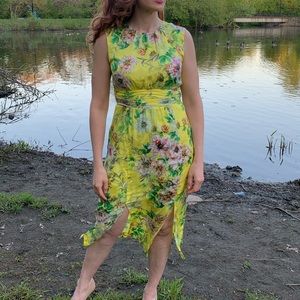Anthropologie Silk Midi Dress